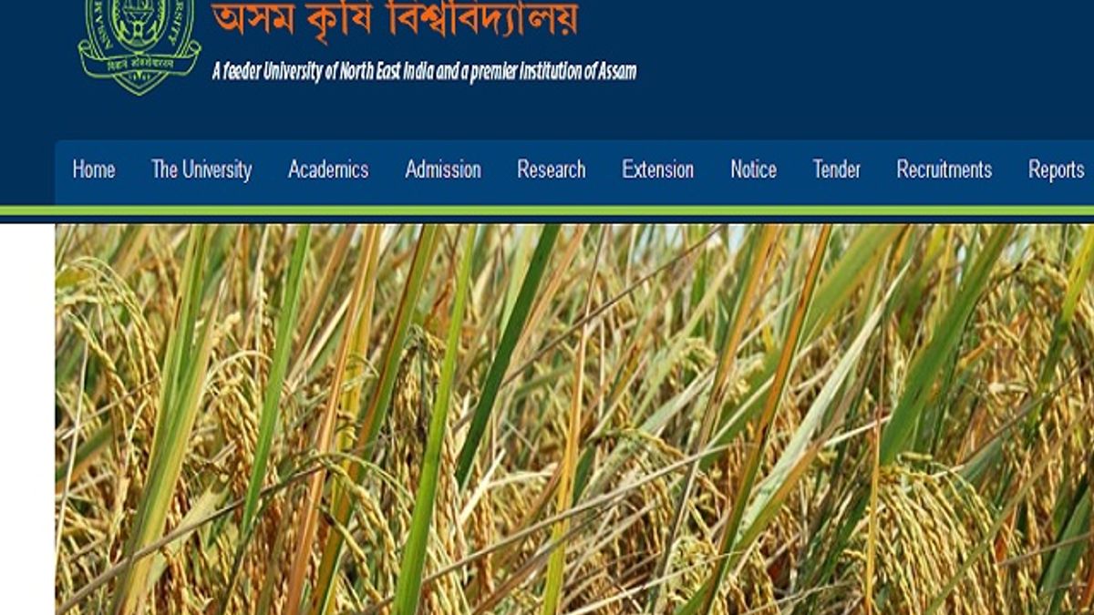 असम एग्रीकल्चर यूनिवर्सिटी (AAU) भर्ती 2020: प्रोजेक्ट एसोसिएट एवं अन्य पदों की वेकेंसी के लिए करें आवेदन